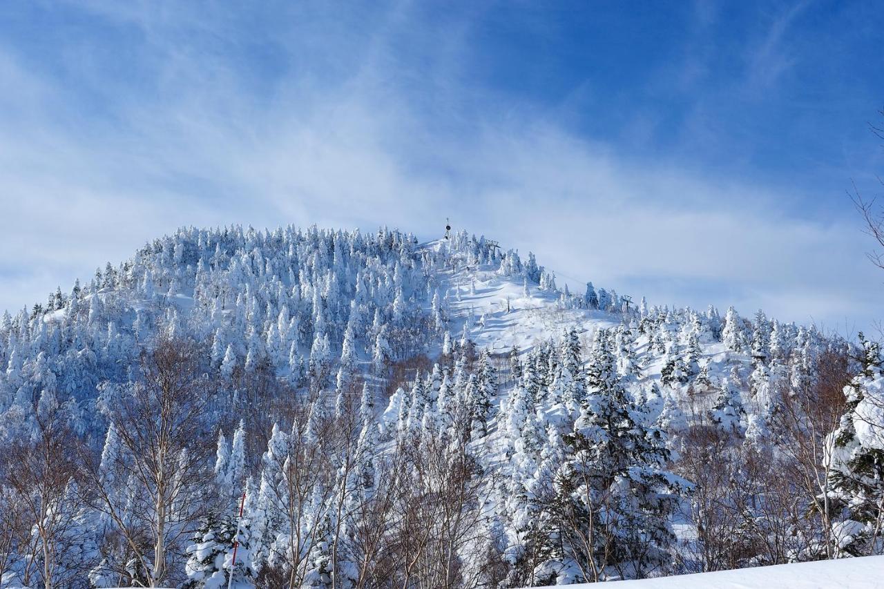 Shiga Kogen Olympic Hotel Yamanouchi  Bagian luar foto